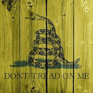 Meet your Posher, Cole